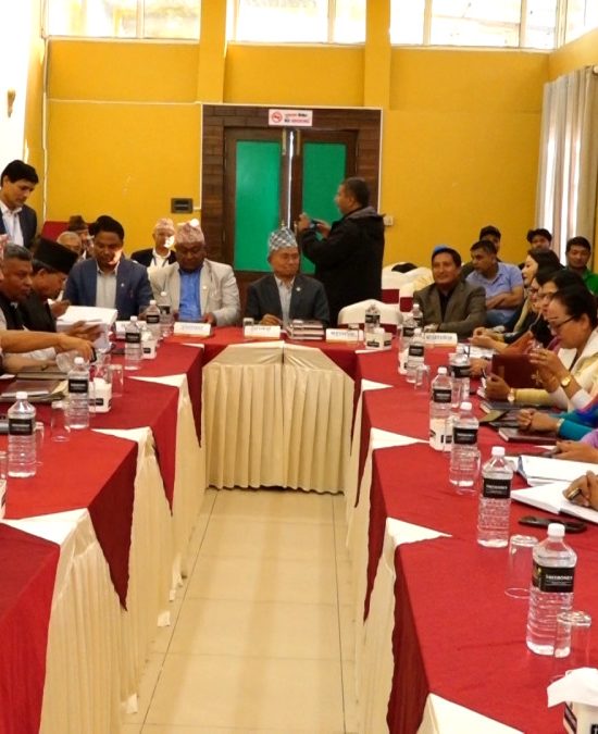 आईतवार विद्यालय बन्द गर्ने निर्णयले स्थानीय तहको अधिकार कुण्ठित गर्‍योः मेयर्स फोरम