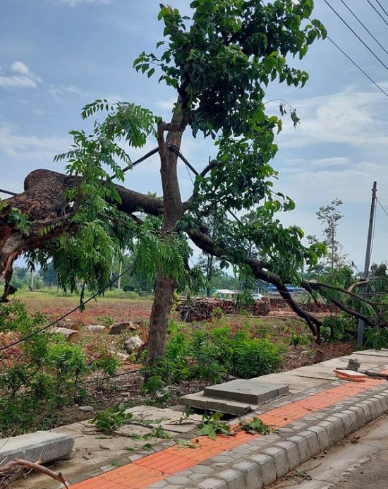 विराटनगरमा रातभर विद्युत् अवरुद्ध, आज ५ प्रदेशका ११ जिल्ला र आसपास तीव्र हावाहुण्डरी चल्ने