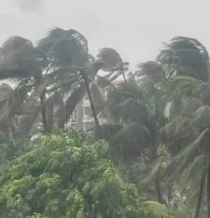 कोशीमा भीषण हावाहुरीः एकको मृत्यु, घर–उद्योग र कुखुरा फार्ममा व्यापक क्षति