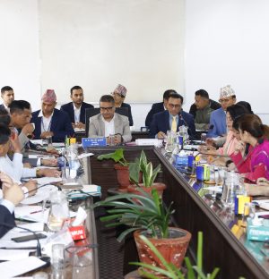 करको दर हेरफेर बारे अर्थमन्त्री डा. वाग्लेको स्पष्टीकरणः ‘चियाको कपमा तुफान ल्याउन खोजियो’