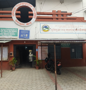 विराटनगर मालपोत कार्यालय अगाडि भेटिएको नवजात शिशुको उद्धार