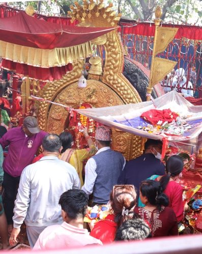 नवरात्रको नवौँ दिनः आज पनि  महाअष्टमीकै कर्म दोहोर्‍याउनुपर्ने