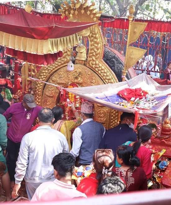 नवरात्रको नवौँ दिनः आज पनि  महाअष्टमीकै कर्म दोहोर्‍याउनुपर्ने